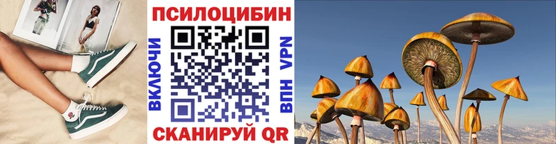 Галлюциногенные грибы Psilocybe  Купить где  Кубинка 