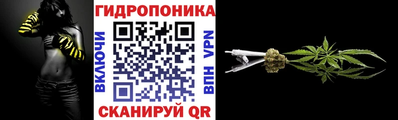 Бошки марихуана VHQ  Купить где  Кубинка 